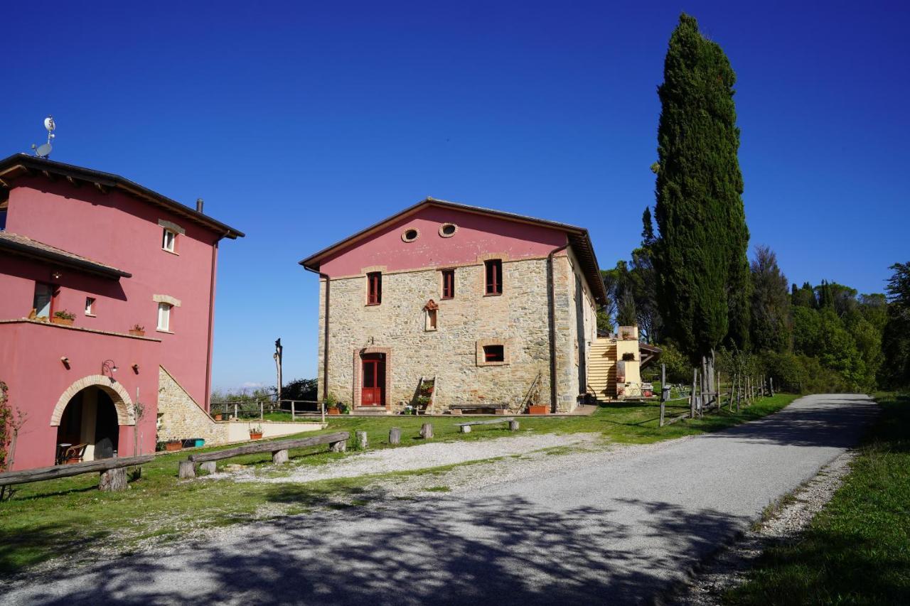 Agriturismo Il Sarale - Umbria Читта-ди-Кастелло Экстерьер фото