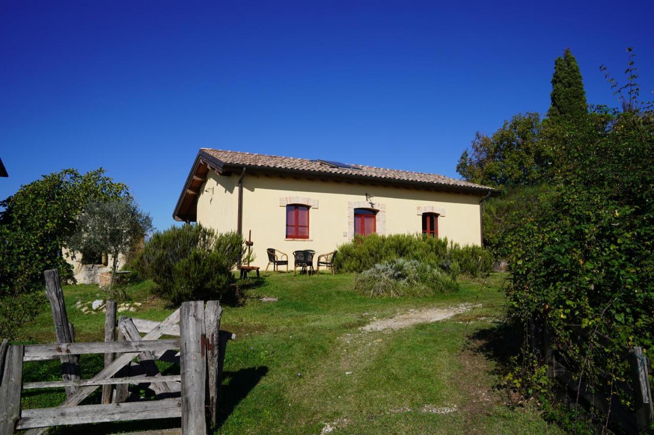 Agriturismo Il Sarale - Umbria Читта-ди-Кастелло Экстерьер фото