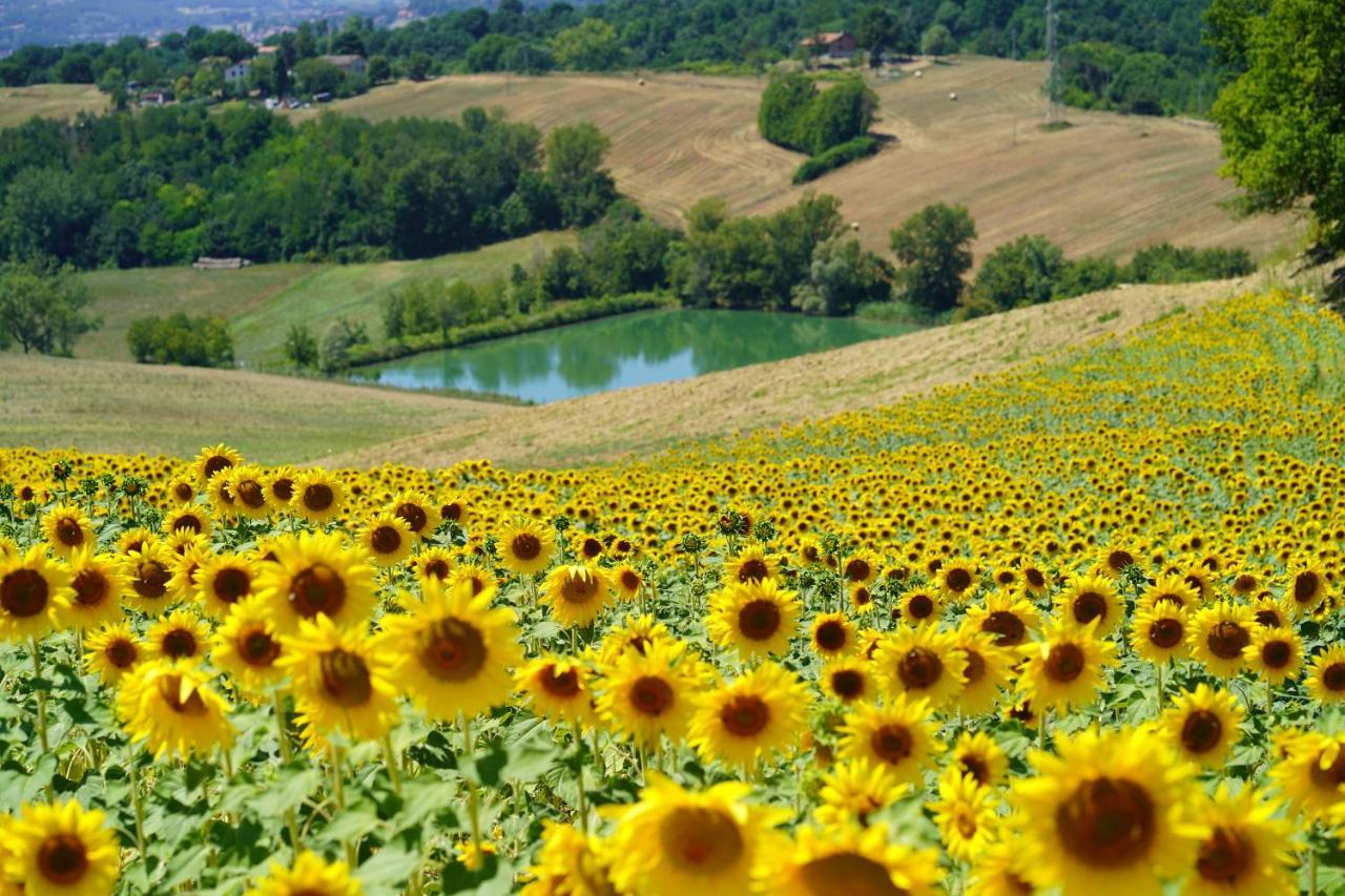 Agriturismo Il Sarale - Umbria Читта-ди-Кастелло Экстерьер фото